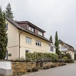 Holly * Ebringen