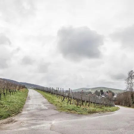 Apartment Holly Ebringen