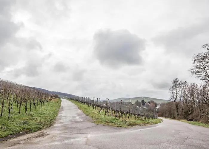 Lejlighed Holly Ebringen